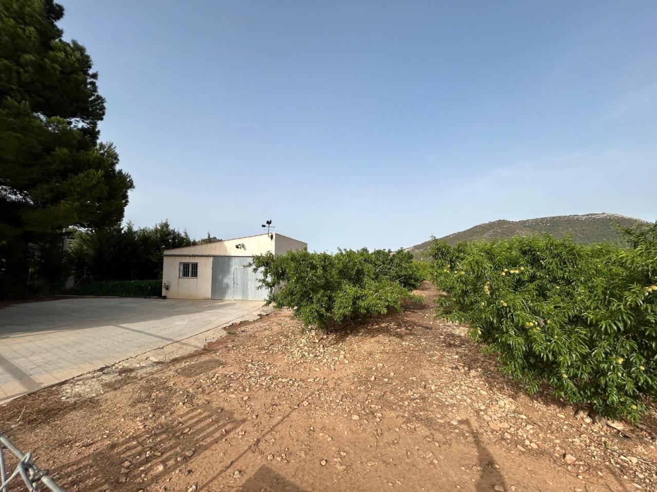  Finca Regadío Fuente Mula 